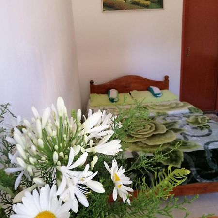 The Galways Edge Homestay Νουβάρα Ελίγια Εξωτερικό φωτογραφία